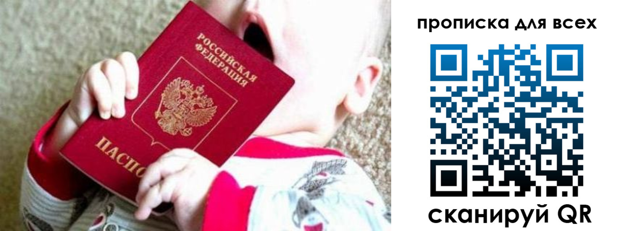 найти адрес прописки в Светлогорске